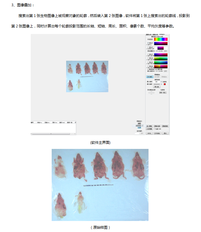 122 生物图像分析软件(图4)