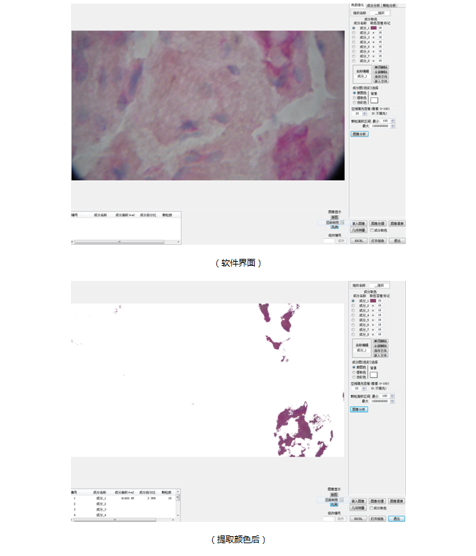 122 生物图像分析软件(图6)