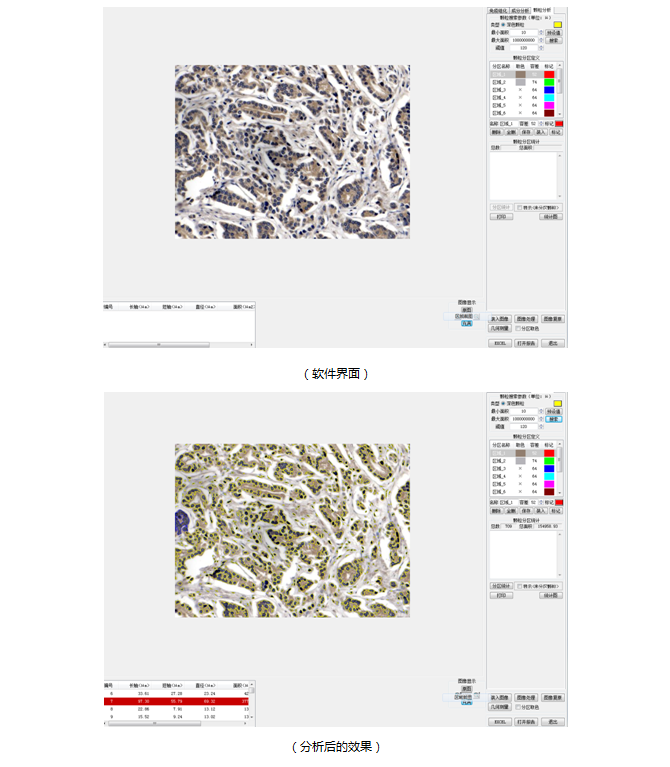 122 生物图像分析软件(图9)